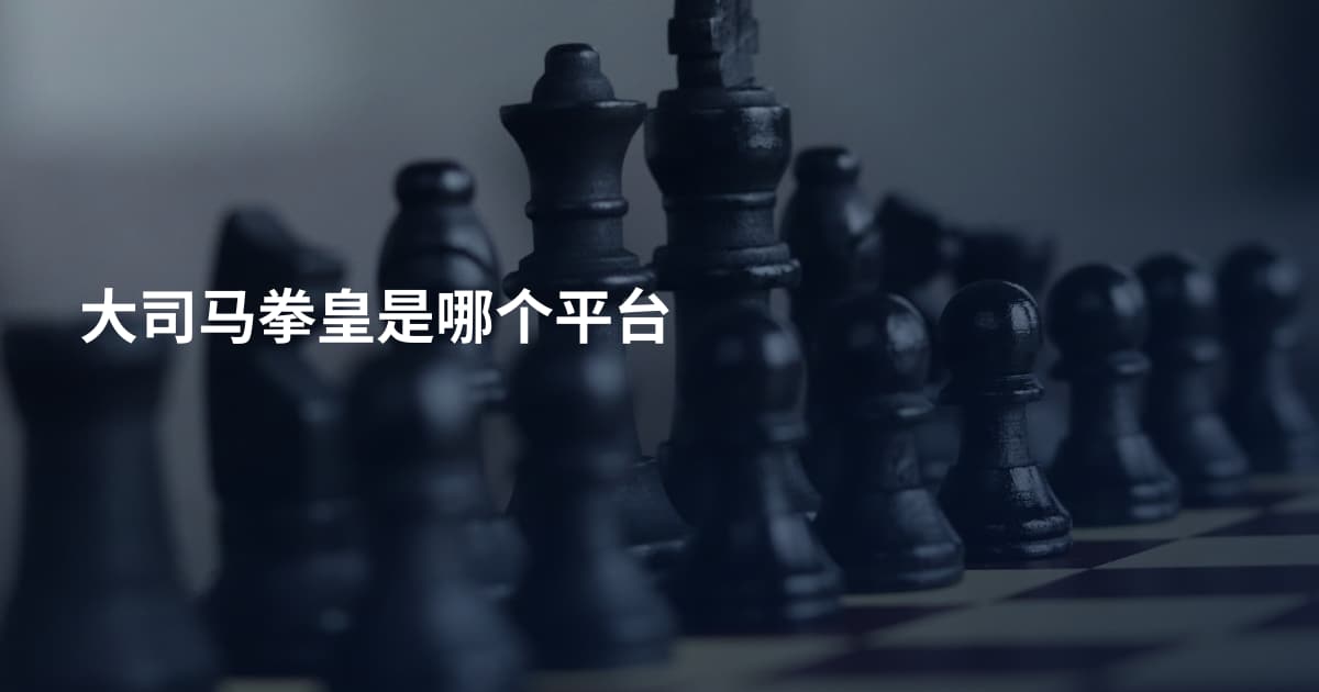大司马拳皇是哪个平台
