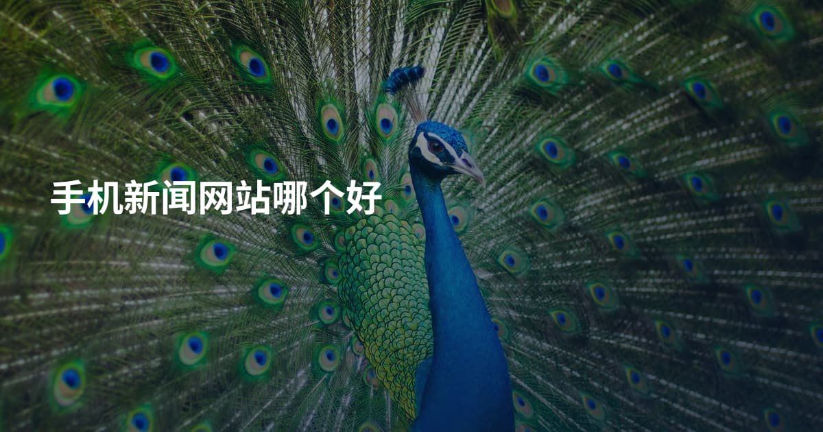 手机新闻网站哪个好