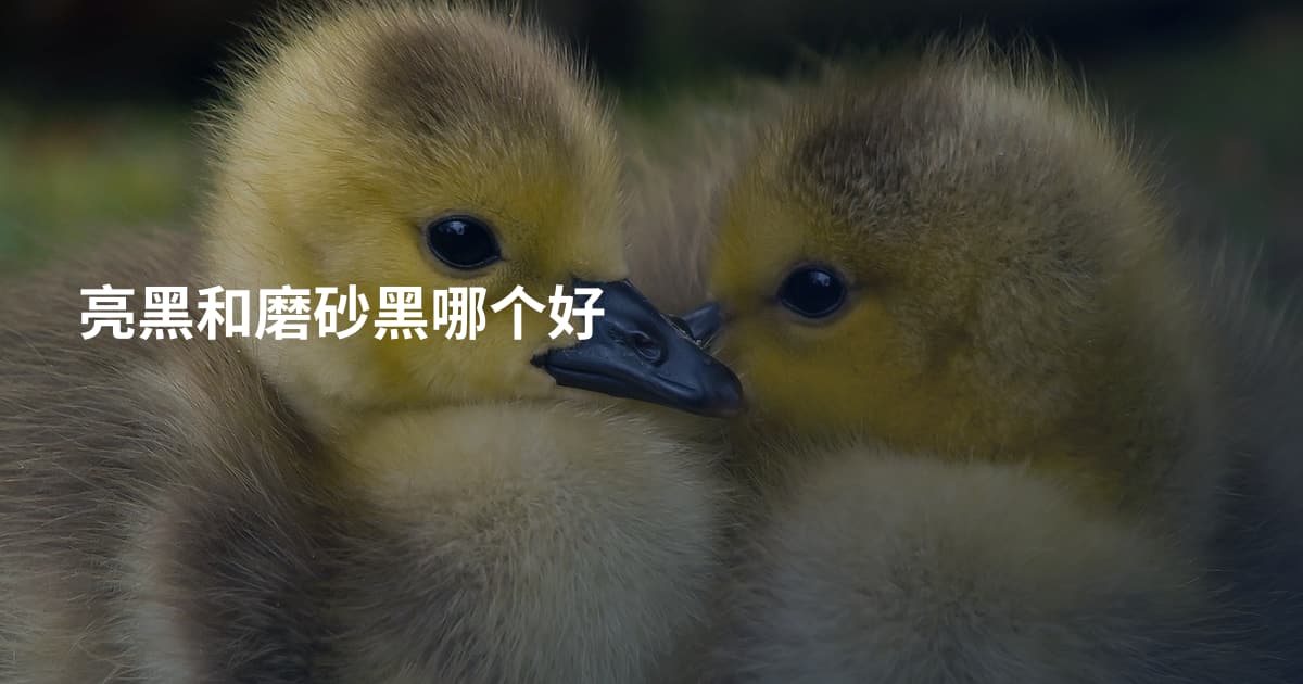 亮黑和磨砂黑哪个好