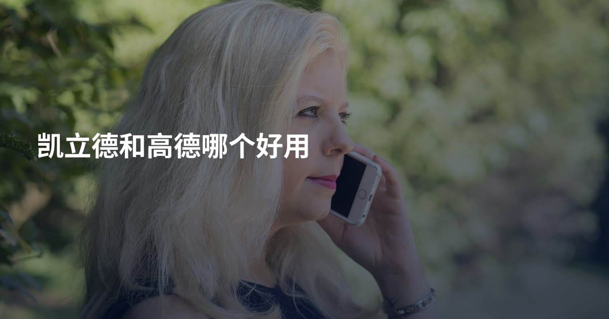 凯立德和高德哪个好用