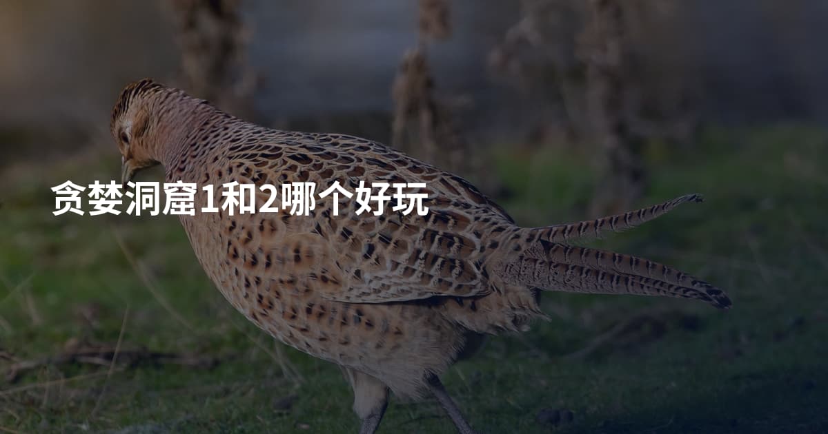 贪婪洞窟1和2哪个好玩