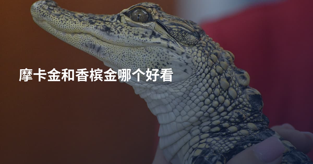 摩卡金和香槟金哪个好看