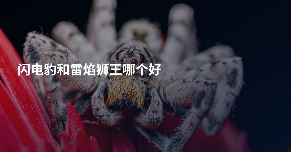 闪电豹和雷焰狮王哪个好