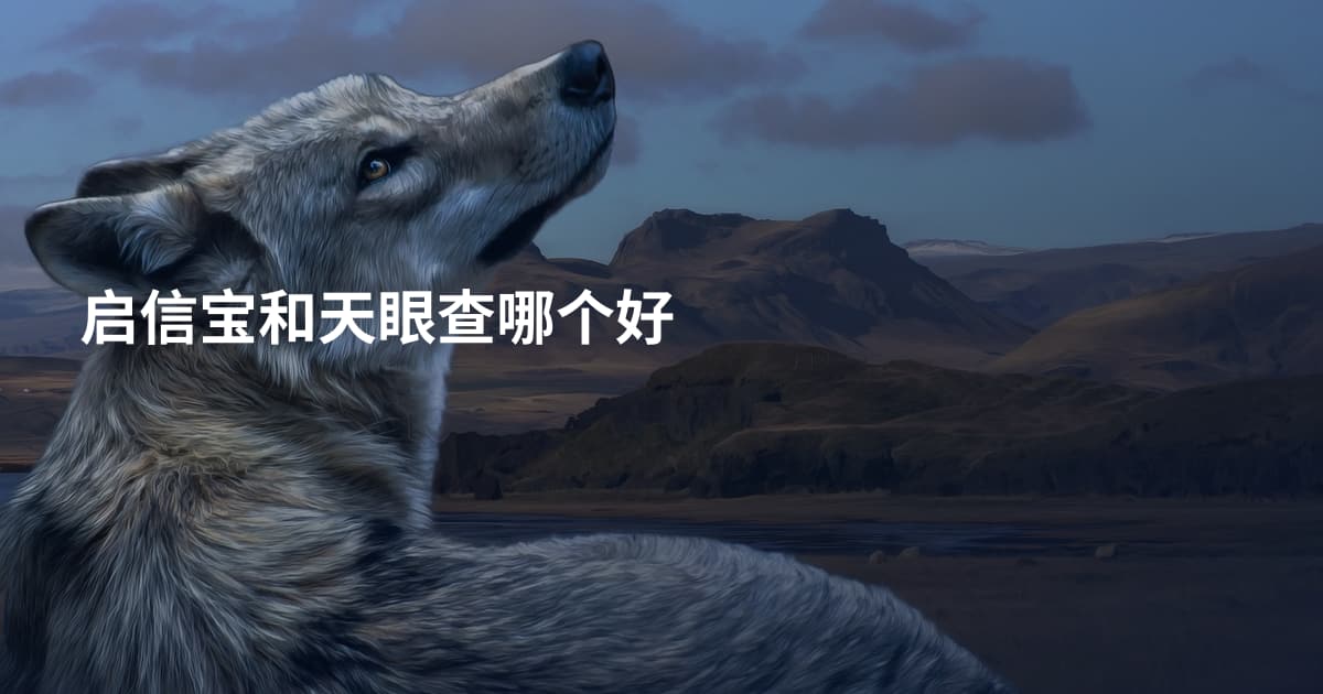 启信宝和天眼查哪个好