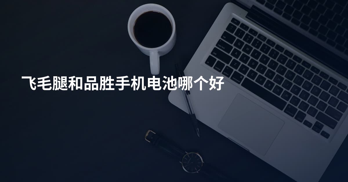 飞毛腿和品胜手机电池哪个好