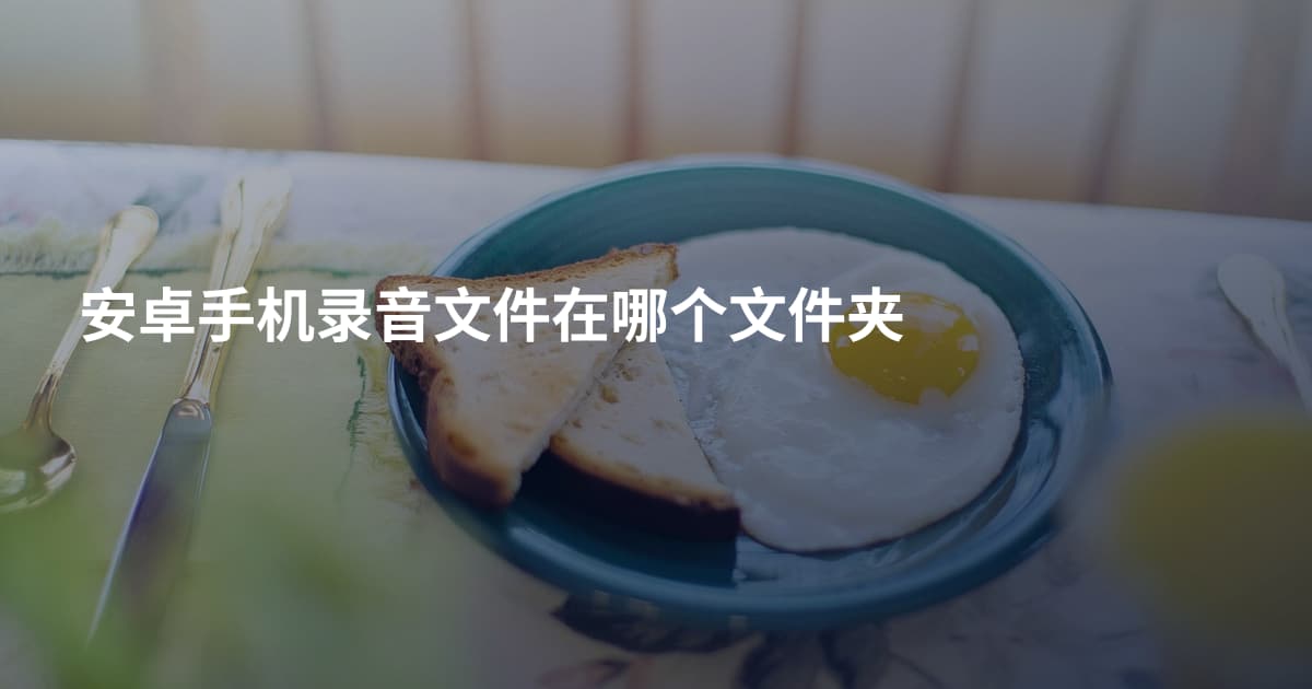 安卓手机录音文件在哪个文件夹