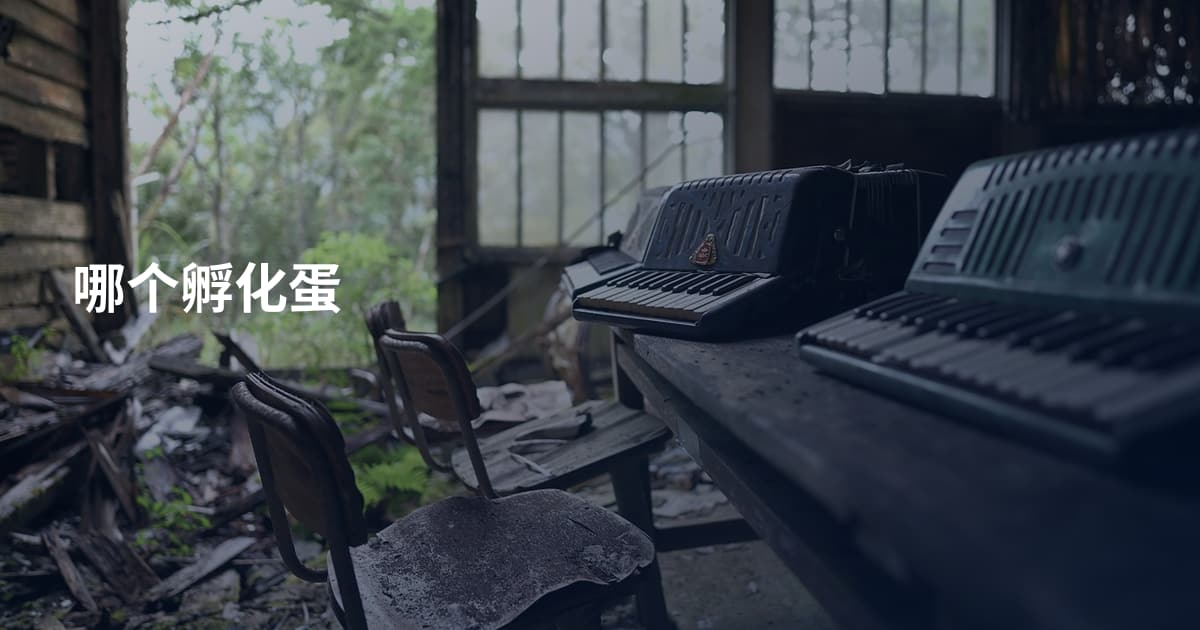 哪个孵化蛋