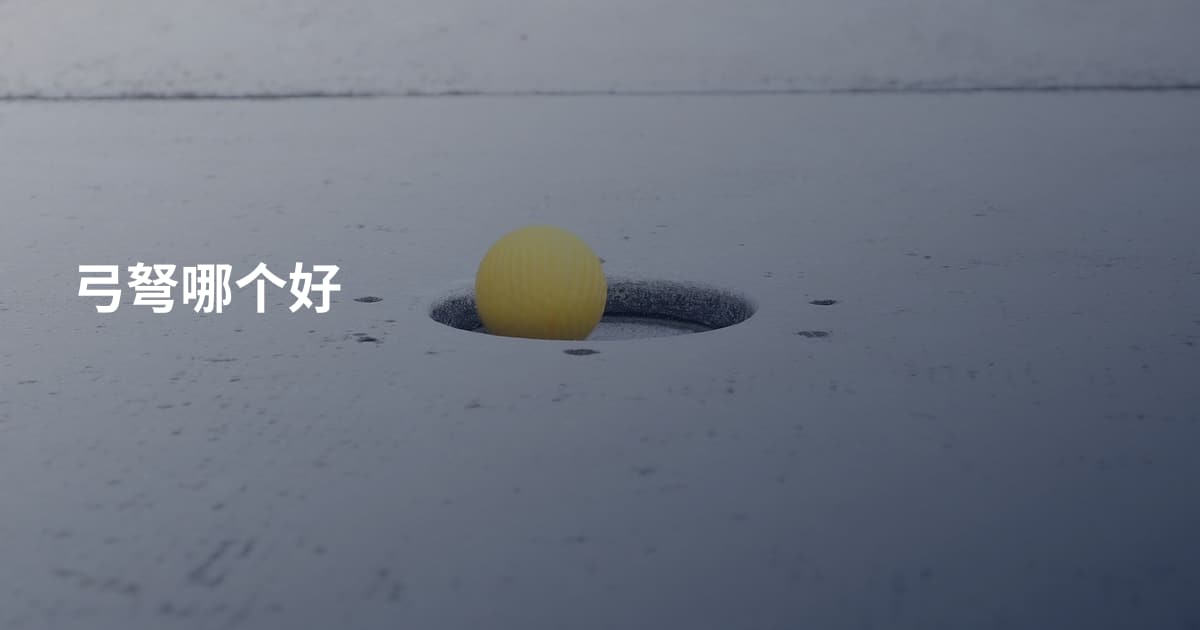 弓弩哪个好