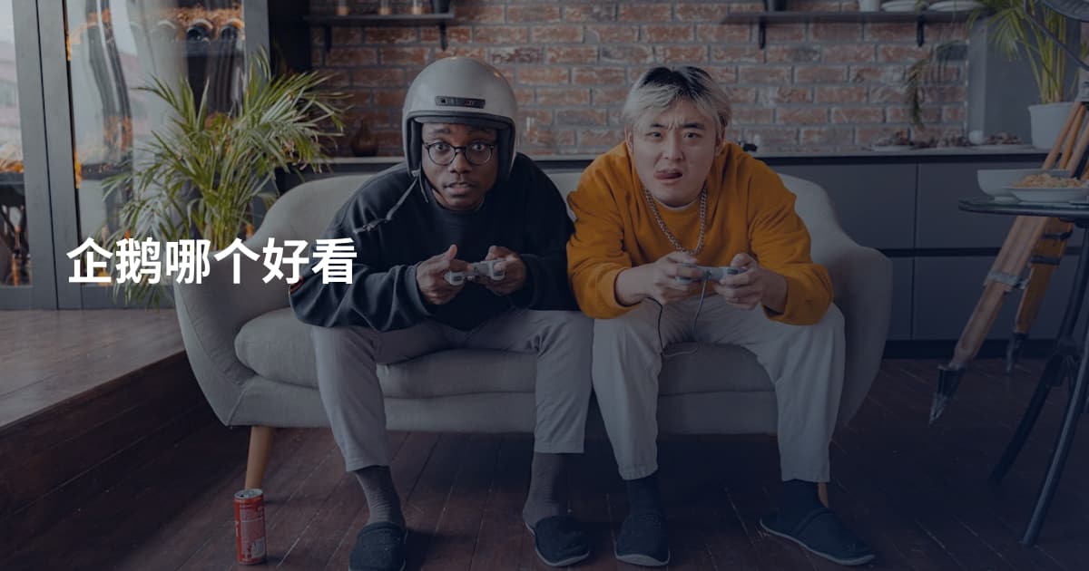 企鹅哪个好看