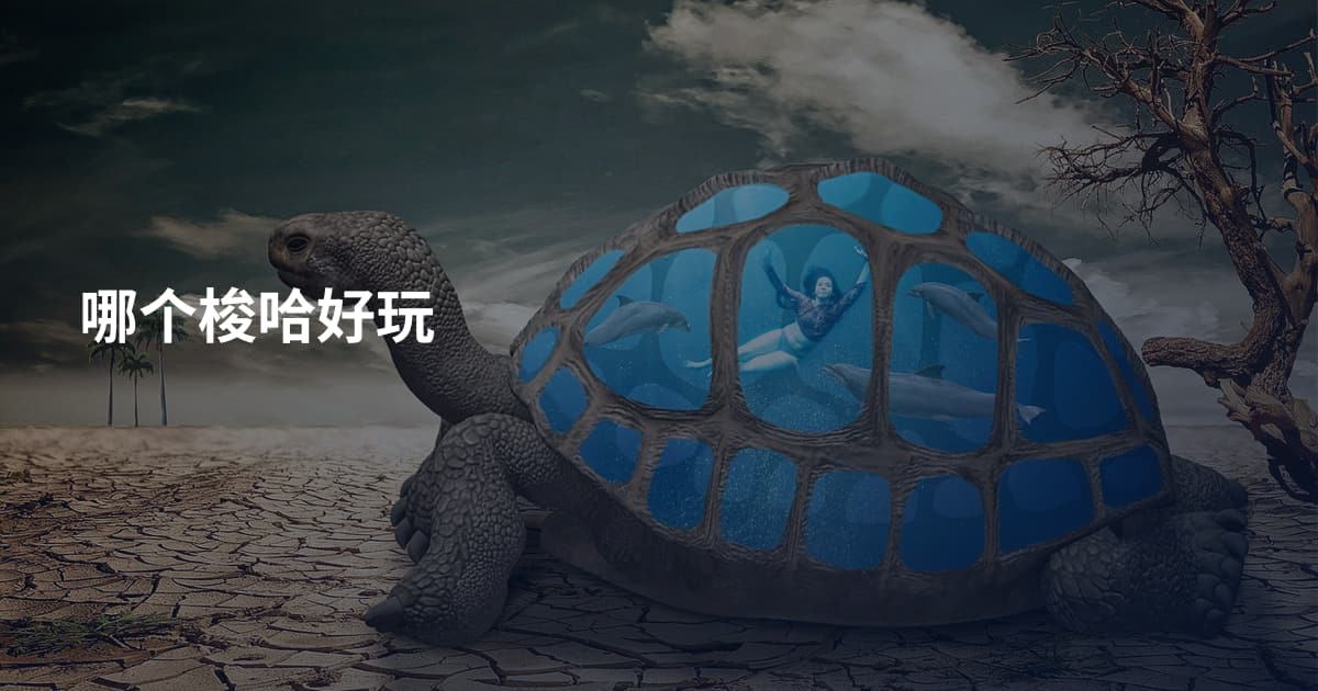 哪个梭哈好玩