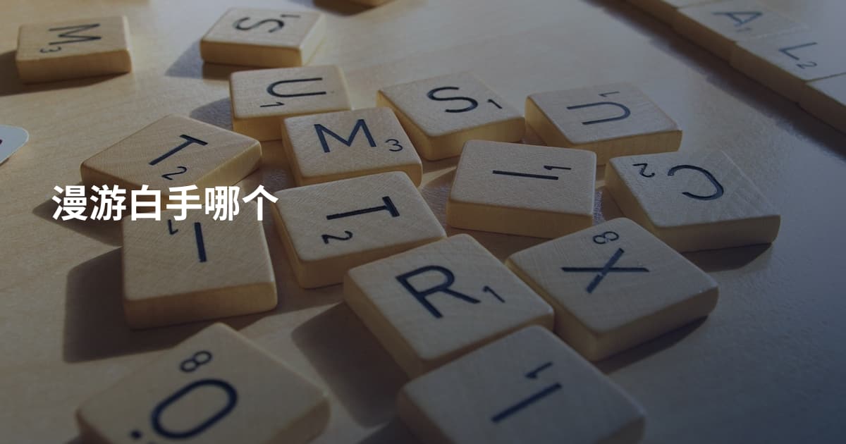 漫游白手哪个