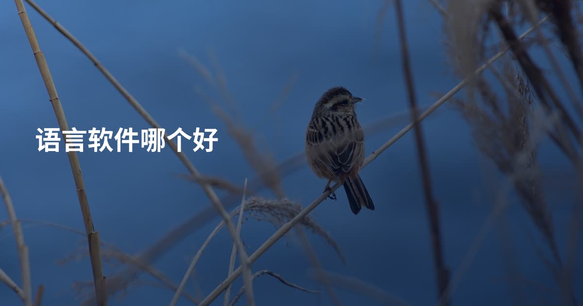 语言软件哪个好