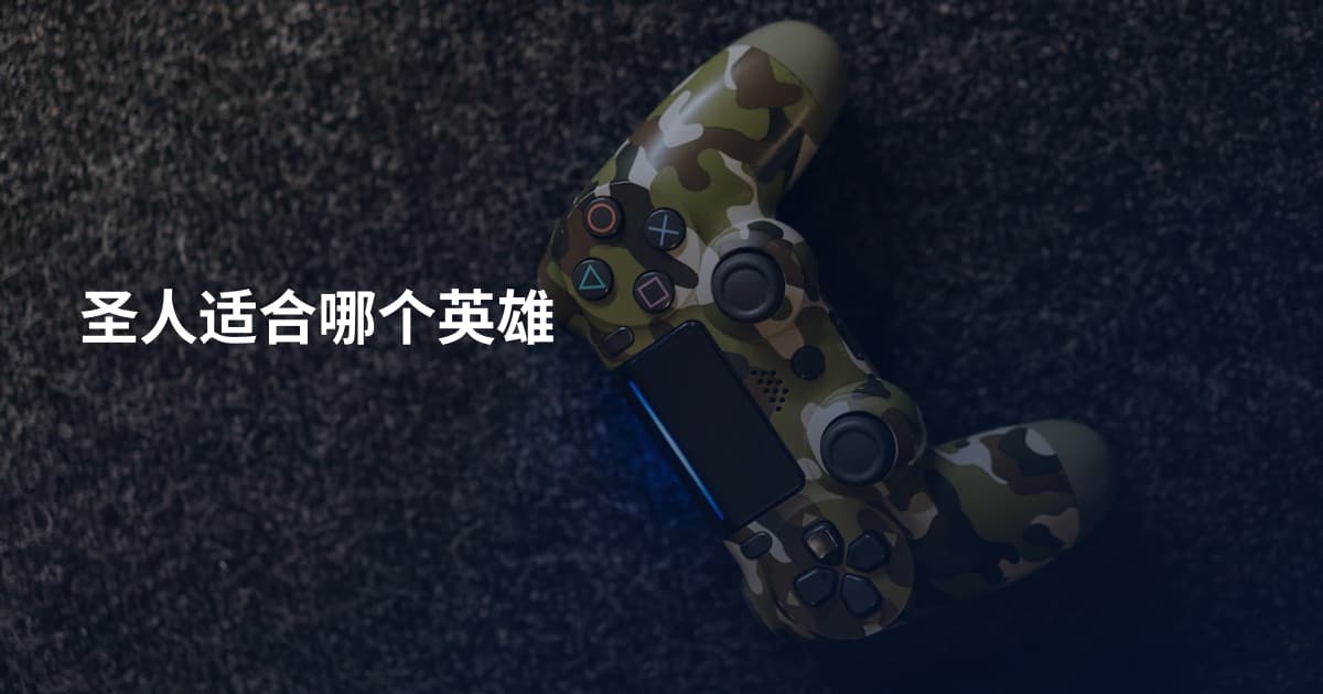 圣人适合哪个英雄
