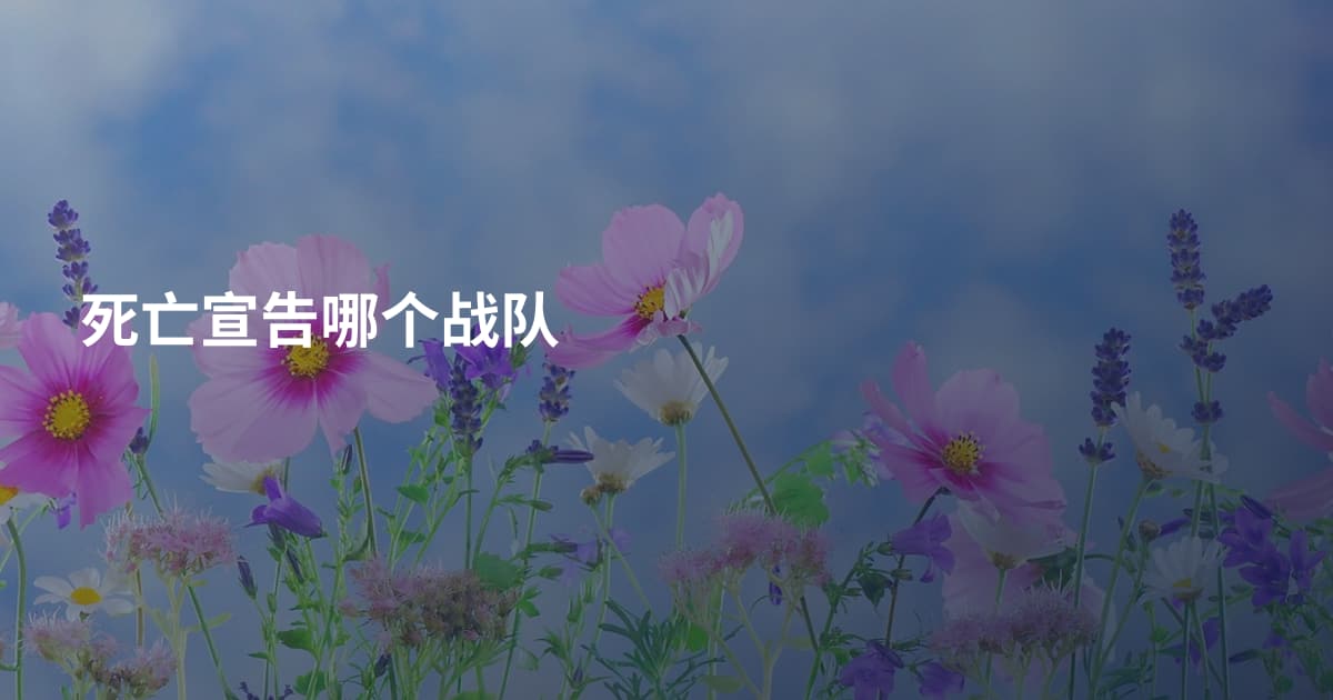 死亡宣告哪个战队