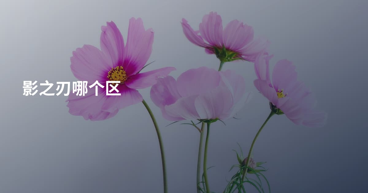 影之刃哪个区