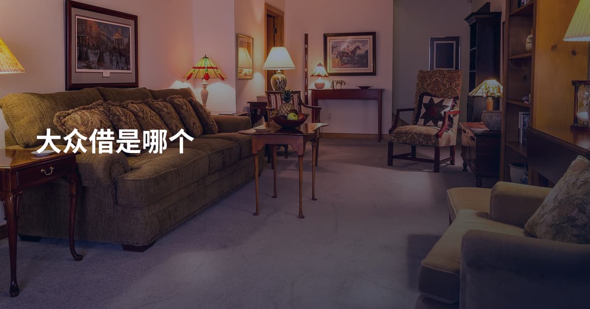 大众借是哪个