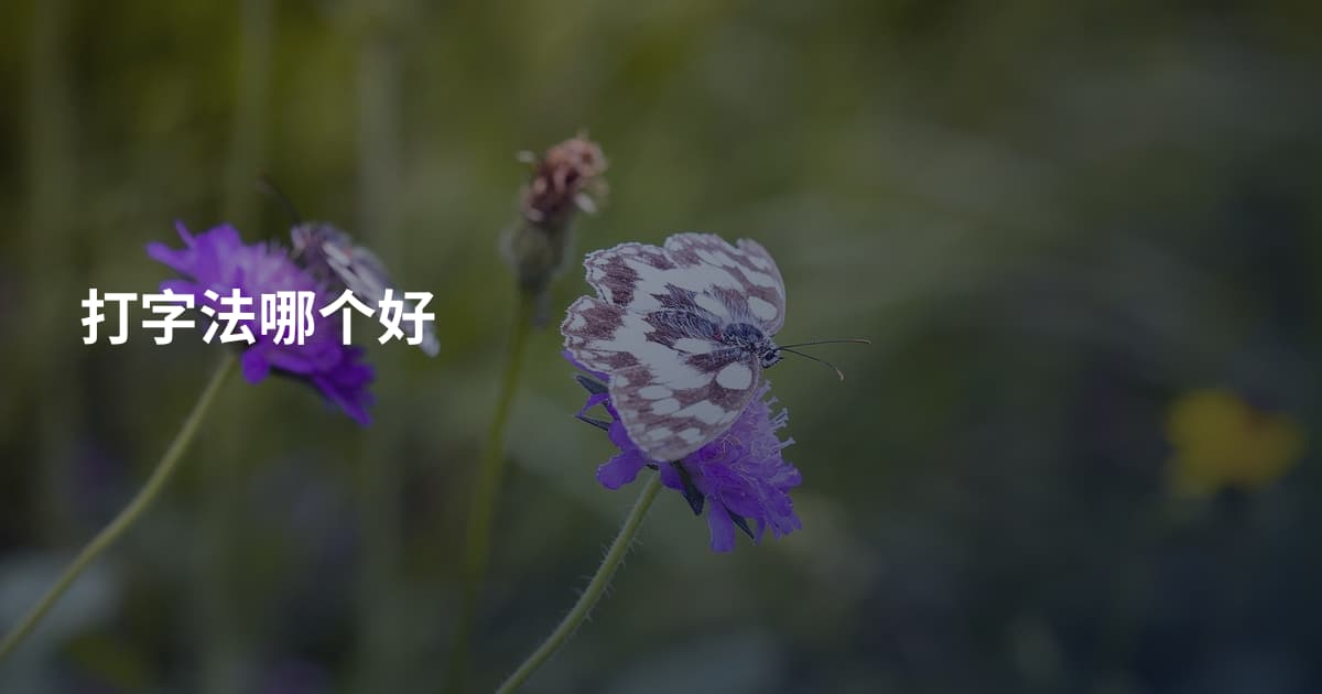 打字法哪个好