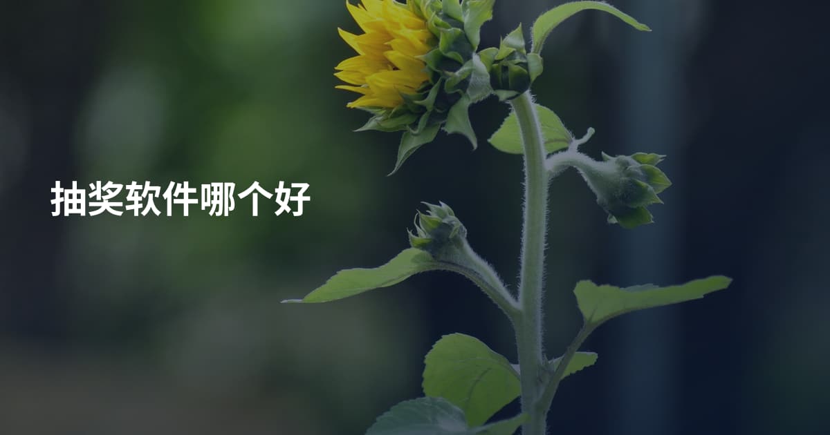 抽奖软件哪个好
