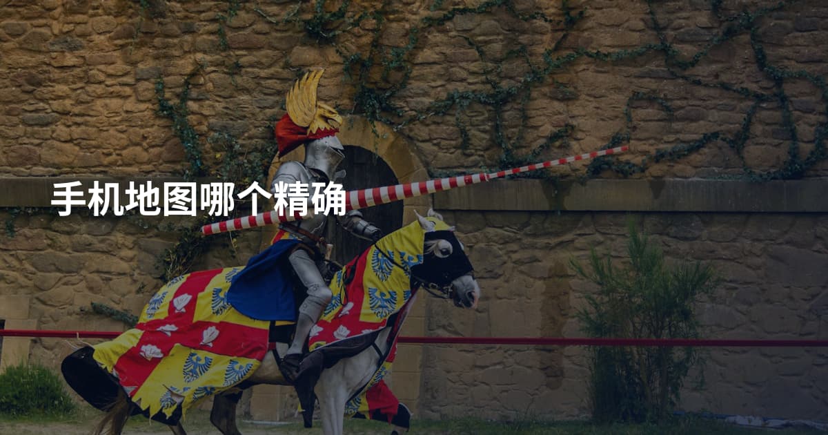 手机地图哪个精确