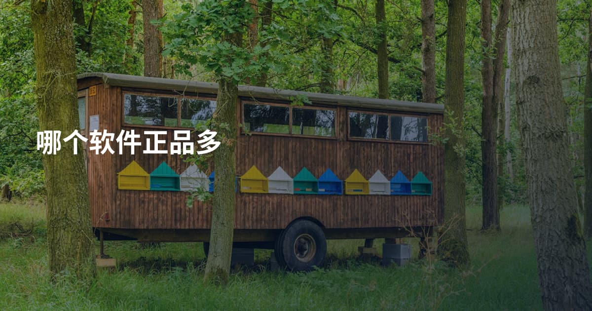 哪个软件正品多