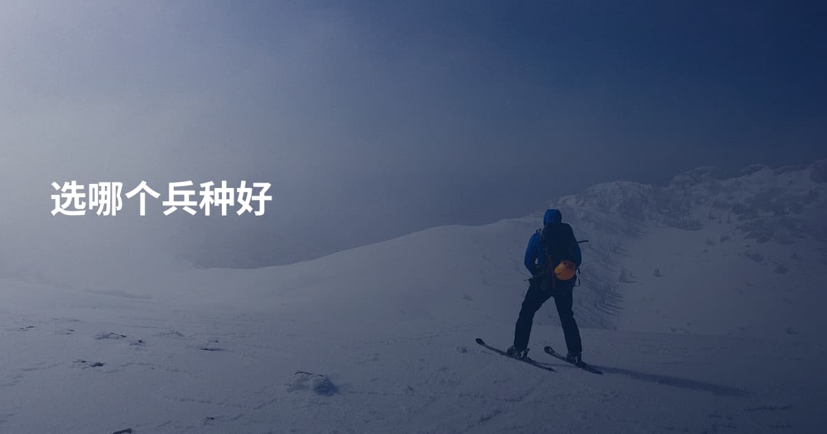 选哪个兵种好
