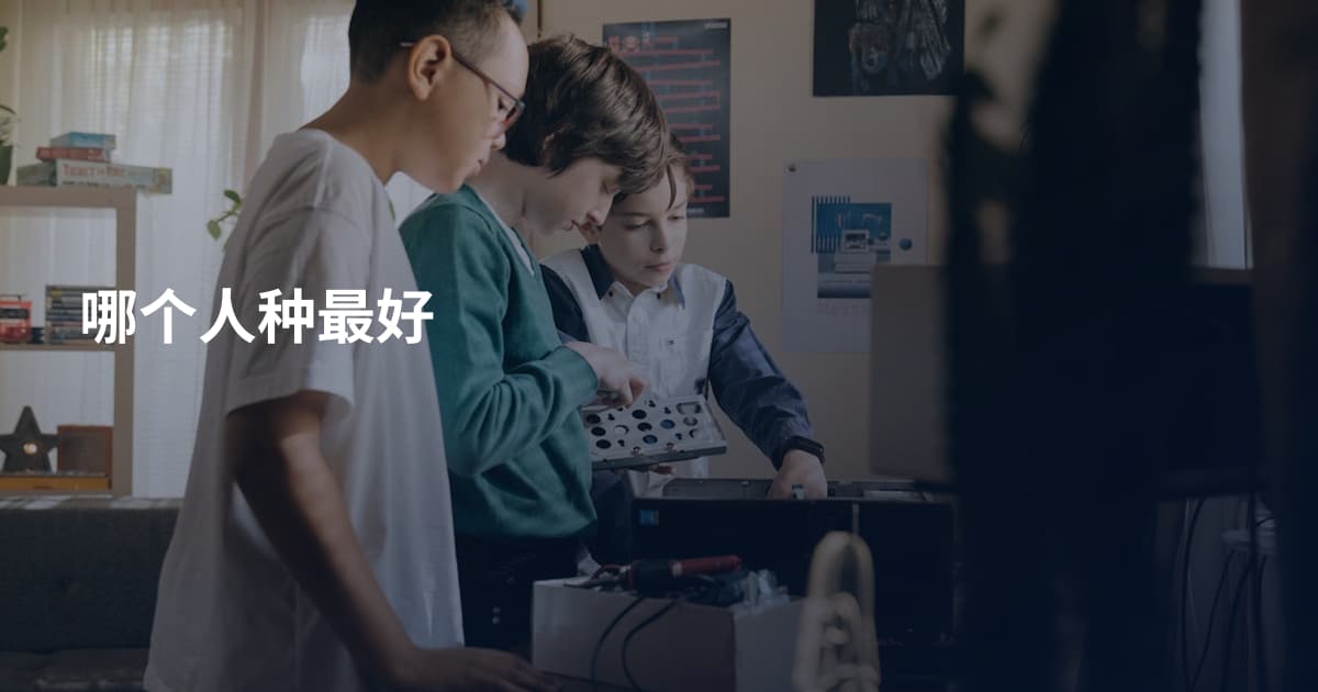 哪个人种最好