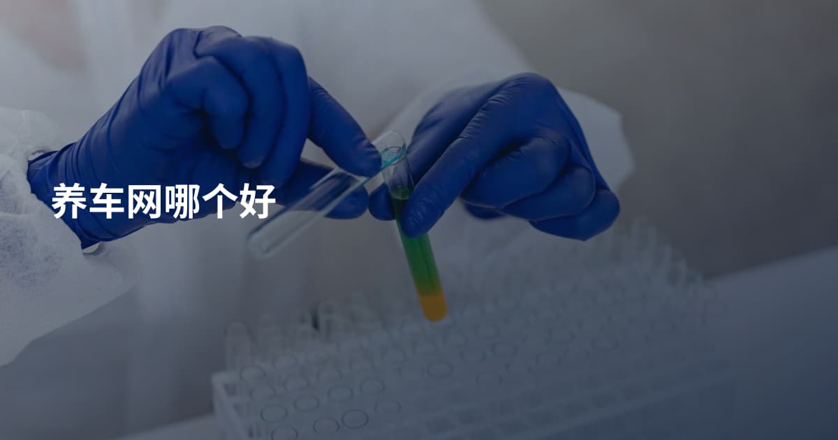 养车网哪个好