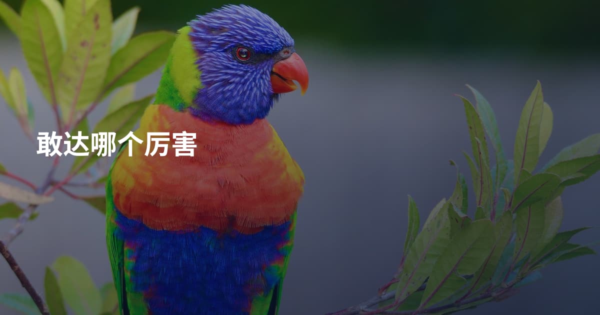敢达哪个厉害