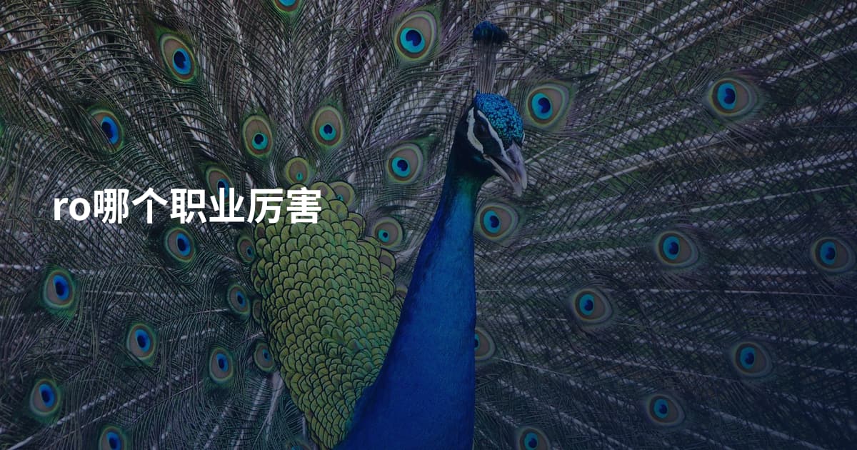 ro哪个职业厉害
