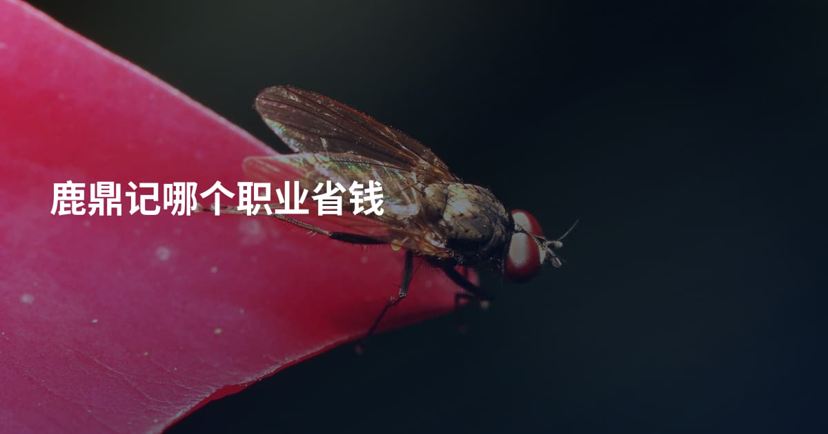 鹿鼎记哪个职业省钱