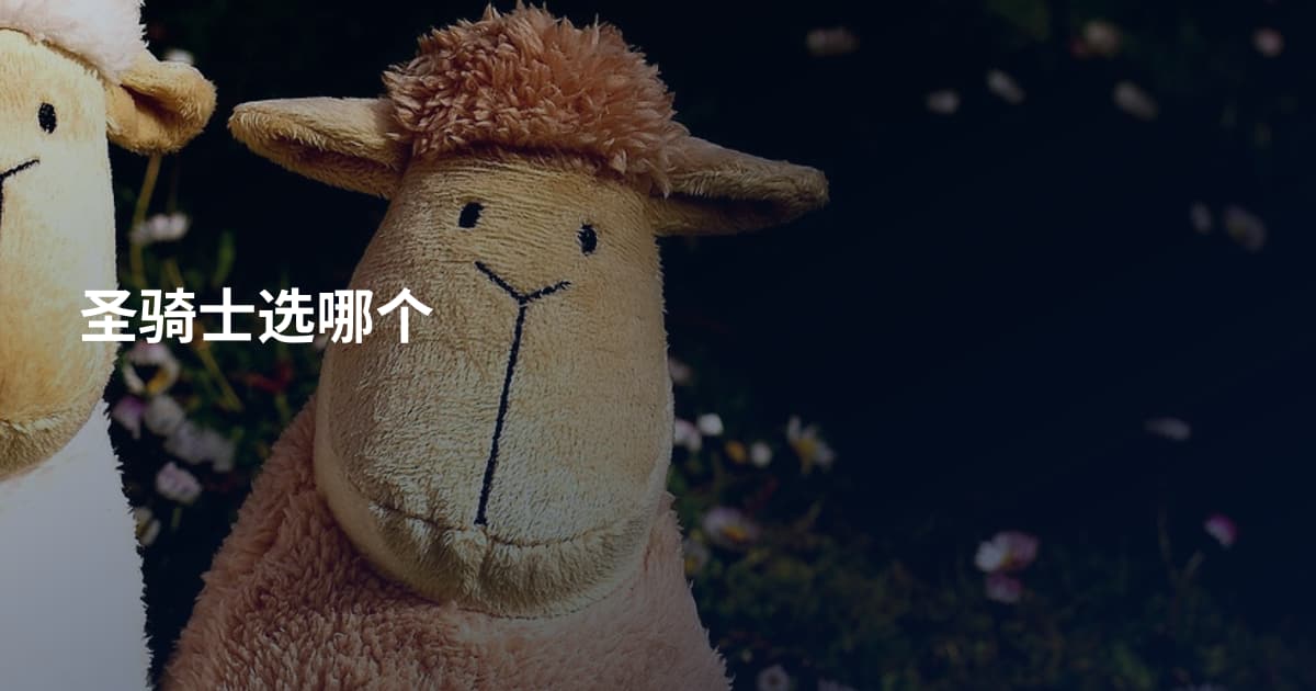 圣骑士选哪个