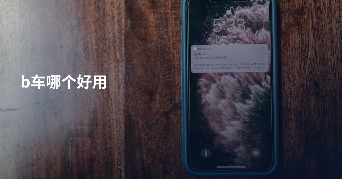 b车哪个好用