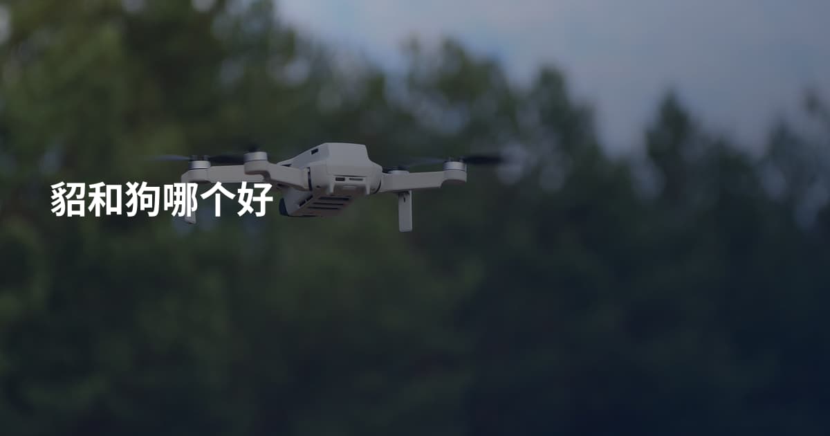 貂和狗哪个好