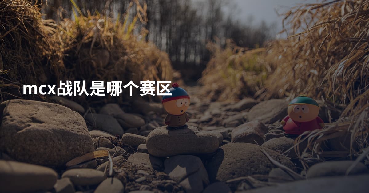 mcx战队是哪个赛区