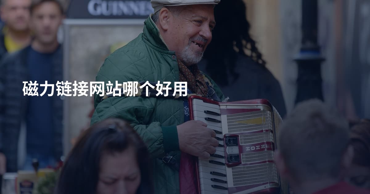 磁力链接网站哪个好用