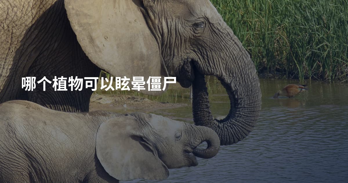 哪个植物可以眩晕僵尸