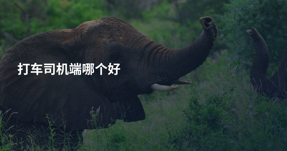 打车司机端哪个好
