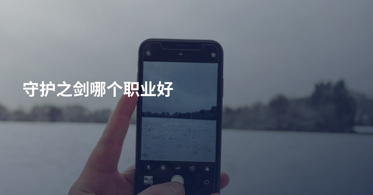 守护之剑哪个职业好