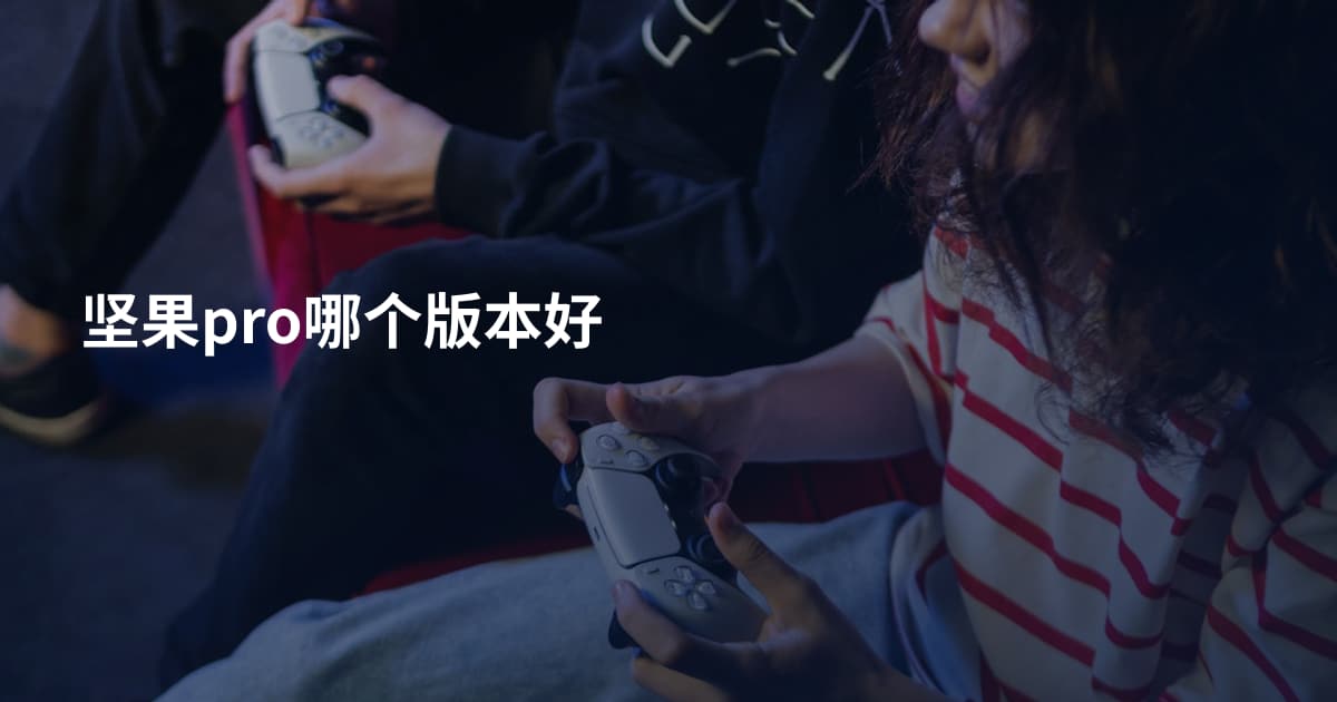 坚果pro哪个版本好