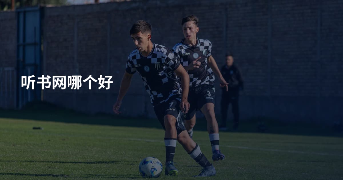 听书网哪个好