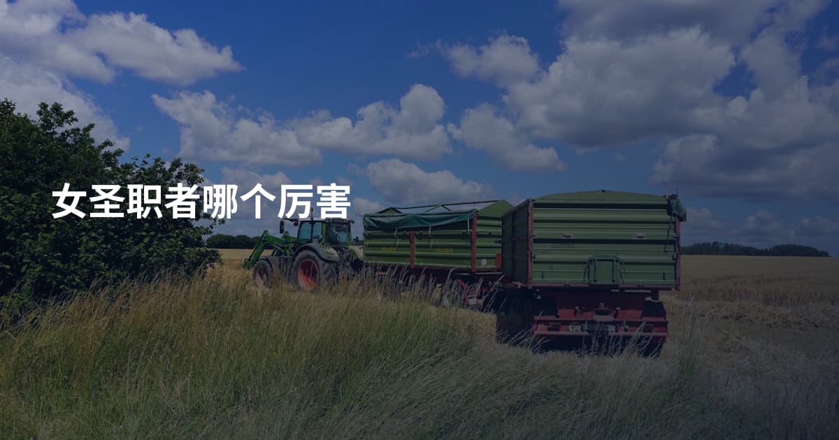 女圣职者哪个厉害