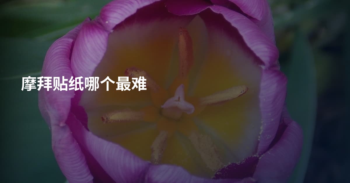 摩拜贴纸哪个最难