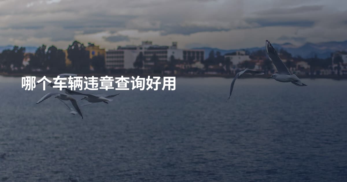 哪个车辆违章查询好用