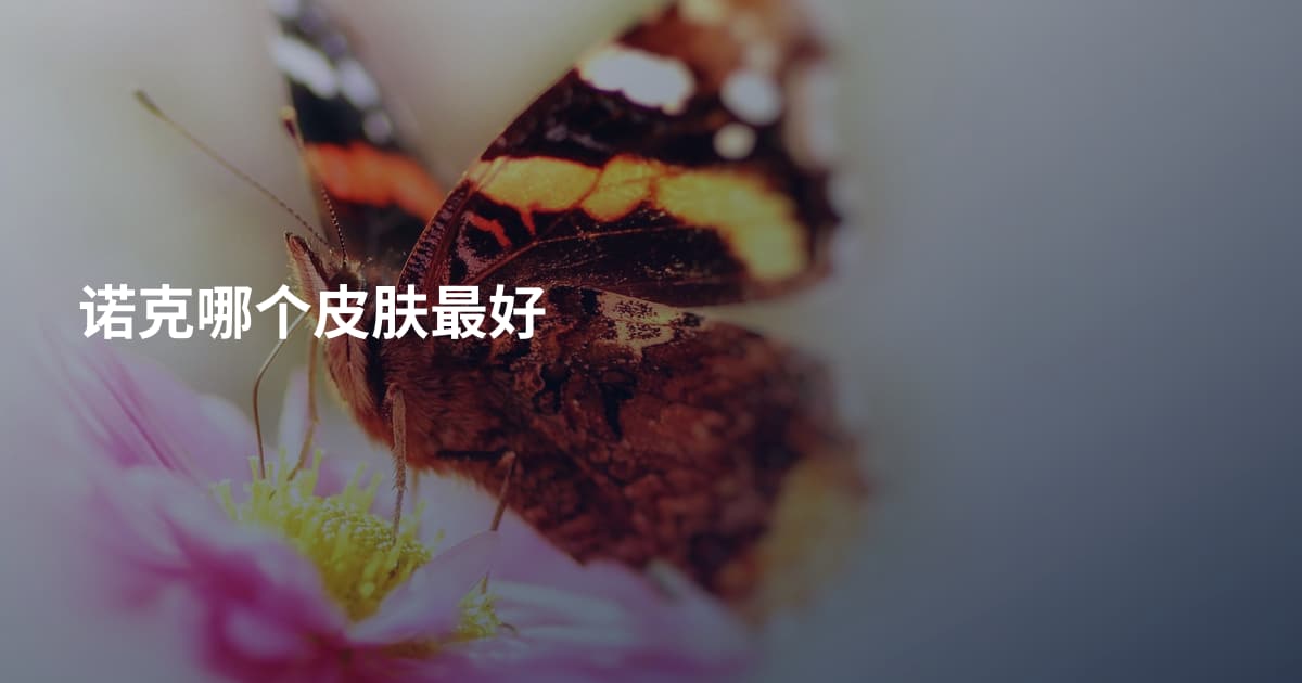 诺克哪个皮肤最好