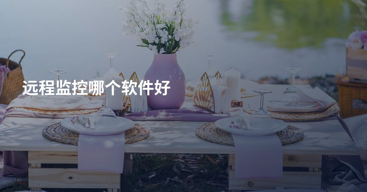 远程监控哪个软件好