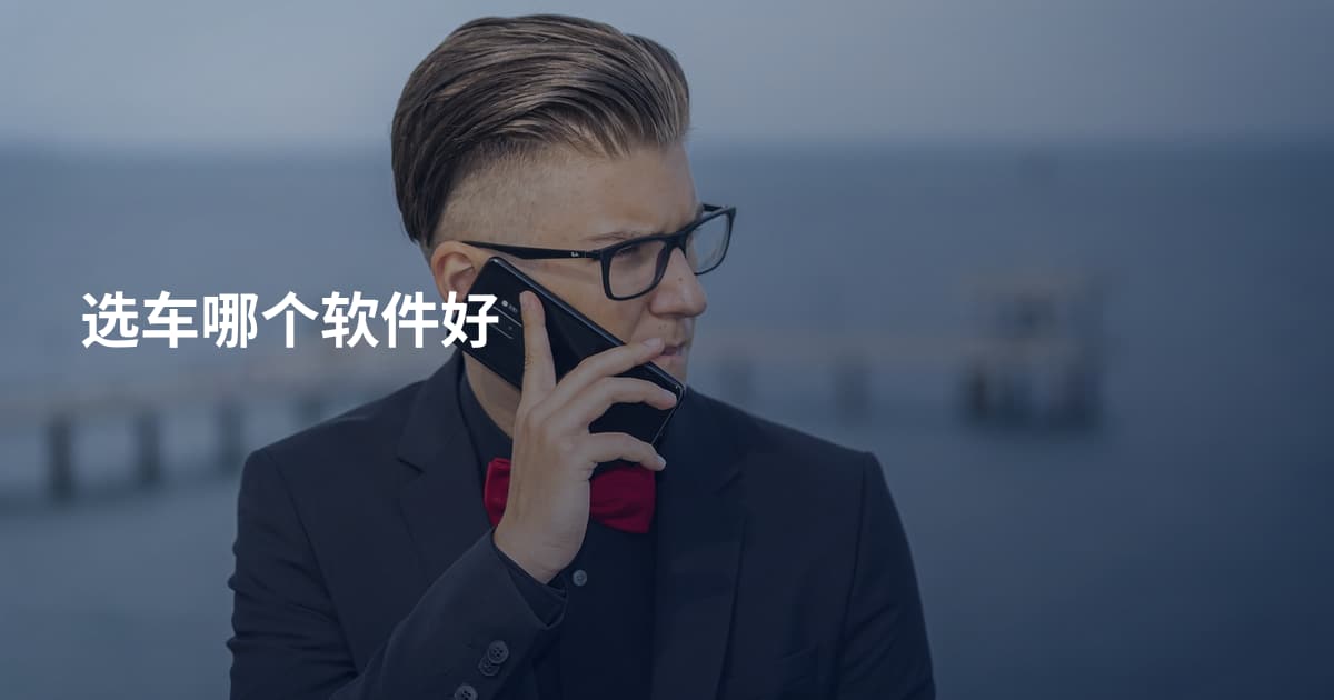 选车哪个软件好