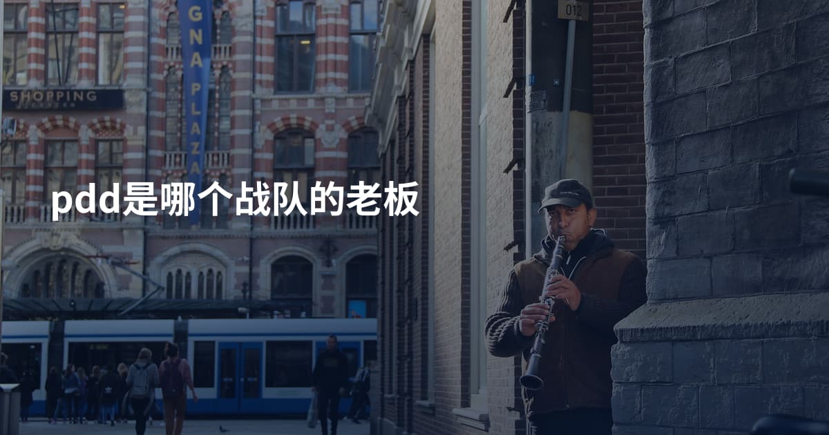 pdd是哪个战队的老板