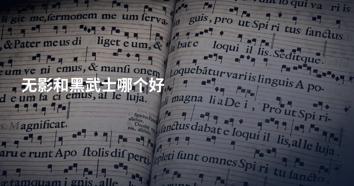 无影和黑武士哪个好