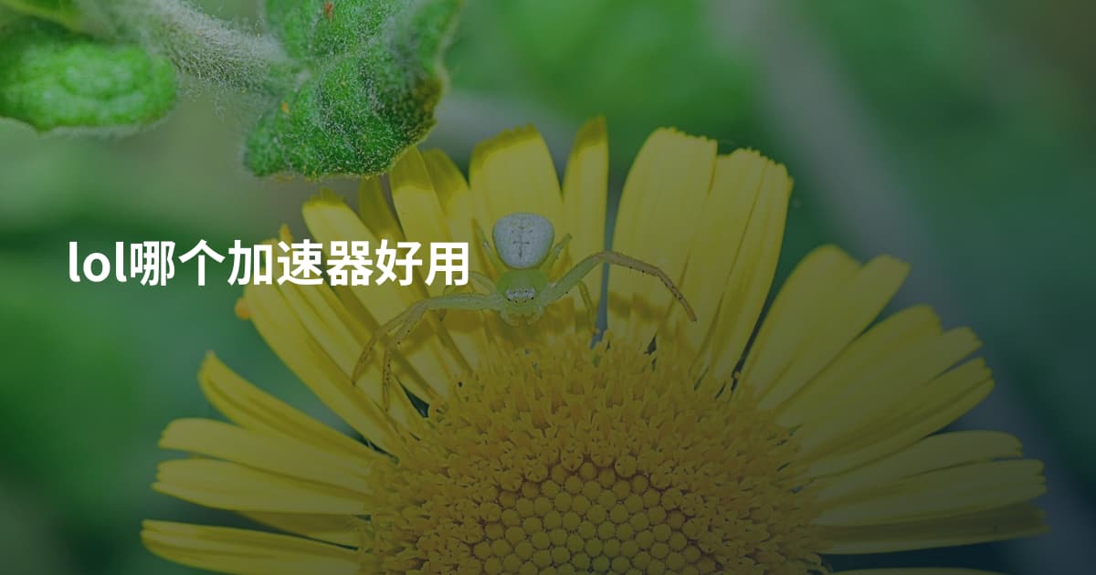 lol哪个加速器好用
