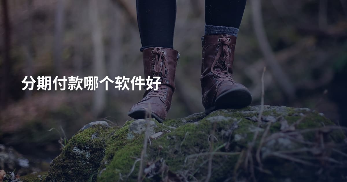 分期付款哪个软件好